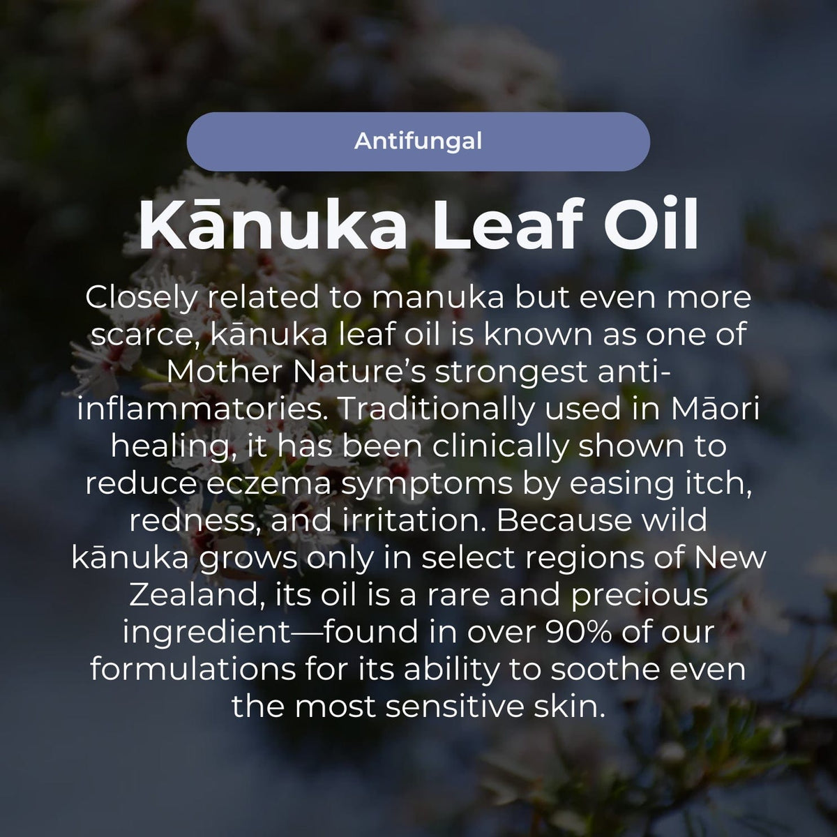 Sven's Island BODY 55g Miracle Manuka - Skin Repair Ointment 55g