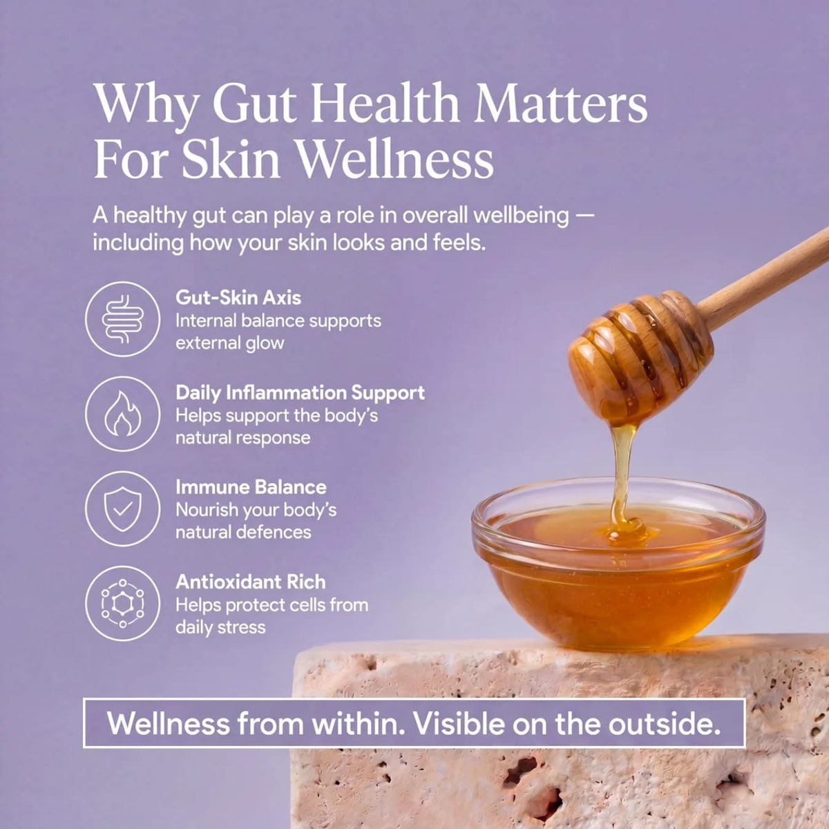 Svens Island Australia Egmont Honey MGO 575+ — Gut & Immune Support Honey